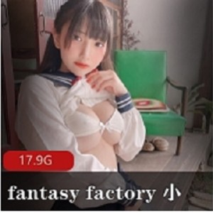 fantasy factory 小丁资源合集