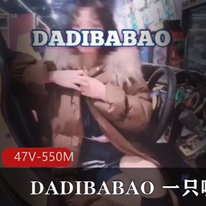 DADIBABAO,尽享精品资源