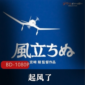 经典日本动画《起风了》高清珍藏版推荐