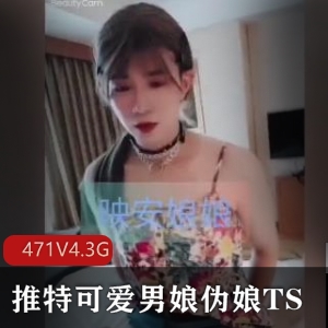 推特男娘TS精品视频合集471V-4.3G小视频资源