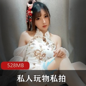 网红私人玩物诱惑美腿白丝高端合集528MB